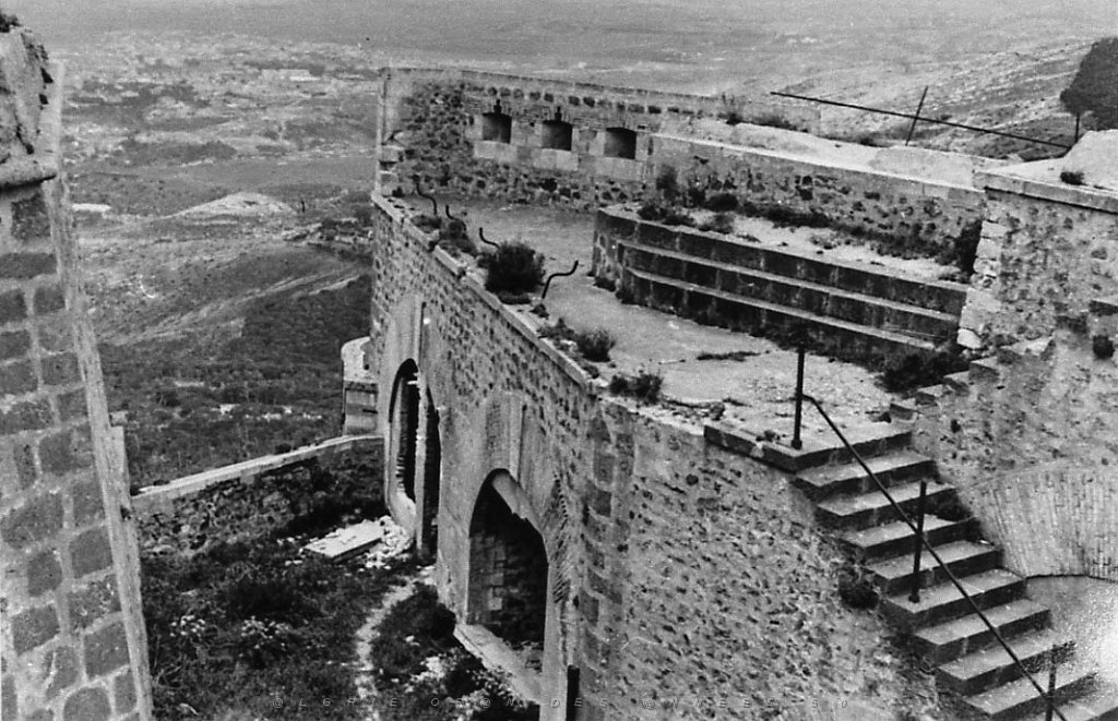 ORAN 02429.jpg